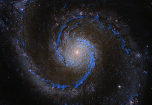 Молекуларен водород во галаксијата M51, сините траги ја покажуваат неговата дистрибуција. Молекуларниот водород всушност е откриен преку CO. Направен е каталог со повеќе од 1500 молекуларни облаци.