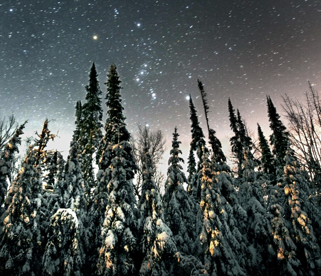 UT-Orion-with-snow-pines-Jan-3-2010