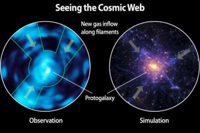 Лево е прикажана опсервацијата направена со Cosmic Web Imager. Десниот дел е симулација на космичката мрежа.