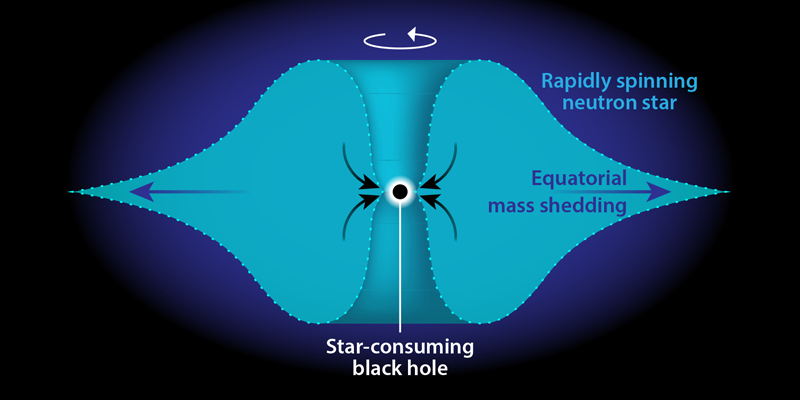 Тешките елементи можеби биле создадени како последица на проголтувањето на неутронските ѕвезди од страна на црни дупки