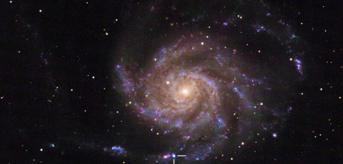 Експлозија на ноќното небо – првите мерења на осветленоста на супернова SN2023ixf