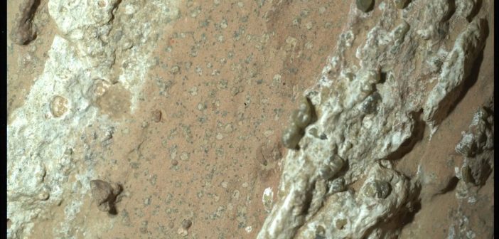 Можен биосигнал откриен од роверот Персевиранс на Марс зм